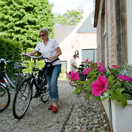 Altes Buddenberg ホテル 3*